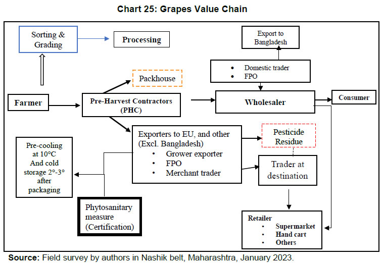 Chart 25: Grapes Value Chain