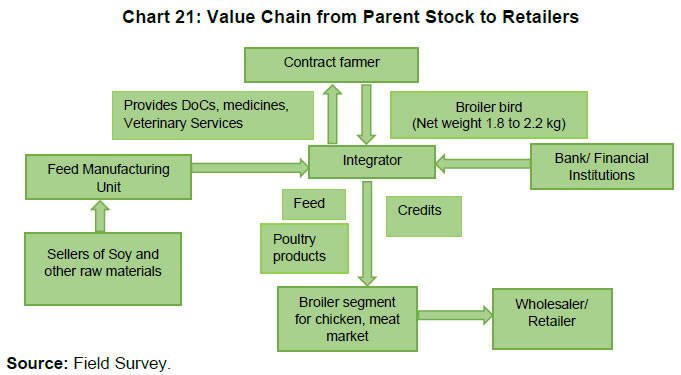 Chart 21: Value Chain from Parent Stock to Retailers