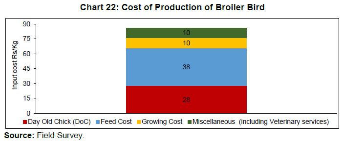 Chart 22: Cost of Production of Broiler Bird