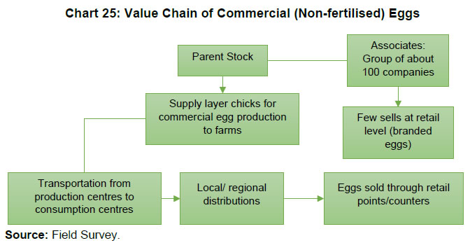 Chart 25: Value Chain of Commercial (Non-fertilised) Eggs